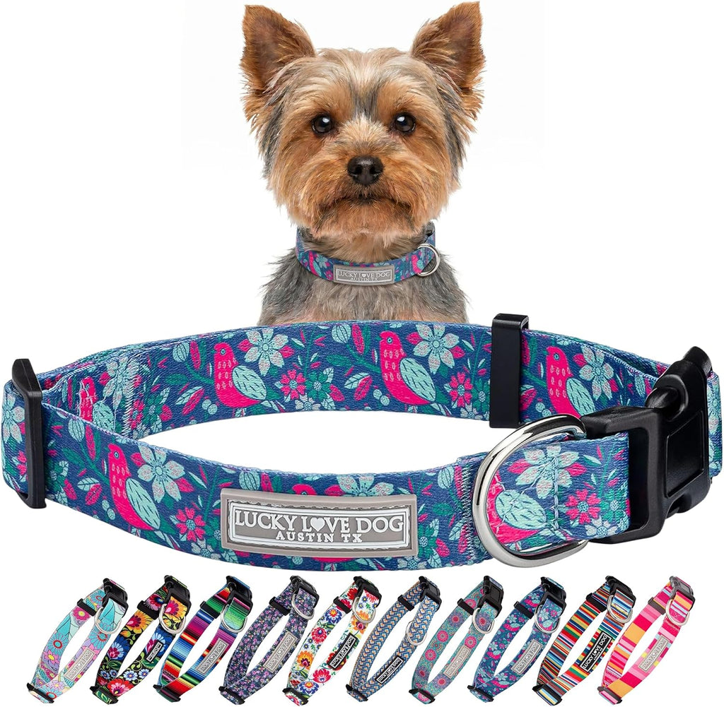Lucky Love Dog Collar for Puppies & Small Dogs Cute – Carriebelle, X-Small