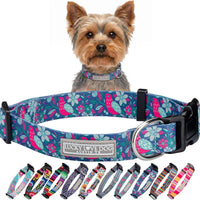 Lucky Love Dog Collar for Puppies & Small Dogs Cute – Carriebelle, X-Small