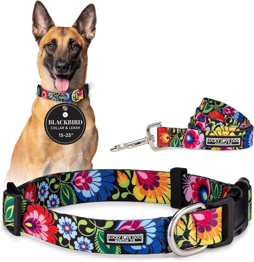 Lucky Love Dog Collar and Leash Set for Large Dogs Cute – Blackbird, Large
