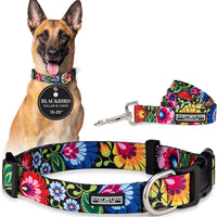 Lucky Love Dog Collar and Leash Set for Large Dogs Cute – Blackbird, Large