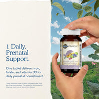 Garden of Life Organics Vitamina prenatal: Ácido fólico para energía y desarrollo fetal saludable, hierro sin estreñimiento, vitamina C, B6, B12, D3 – Orgánico, sin transgénicos, sin gluten, vegano