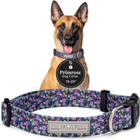 Lucky Love Dog Collar for Large Dogs Cute Adjustable Soft – Primrose, Large
