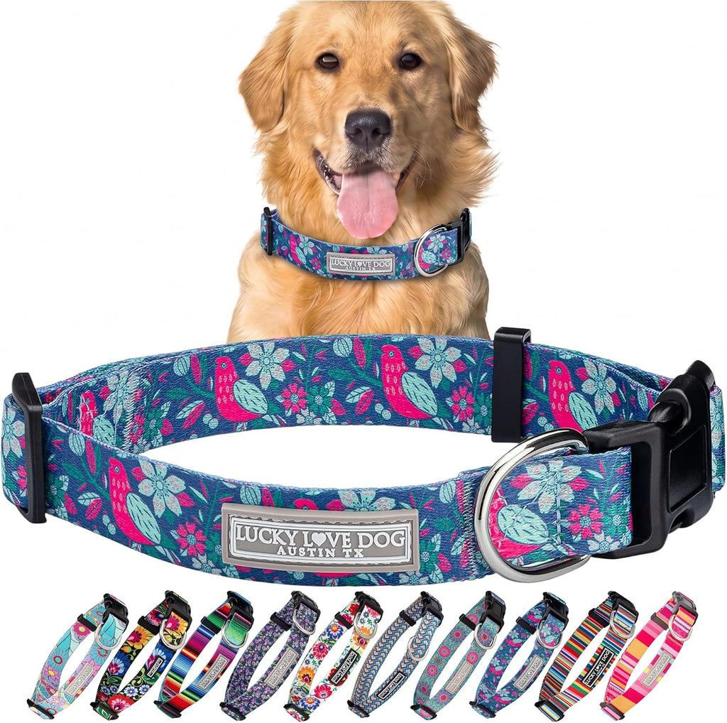 Lucky Love Dog Collar for Large Dogs Cute Adjustable – Carriebelle, Large