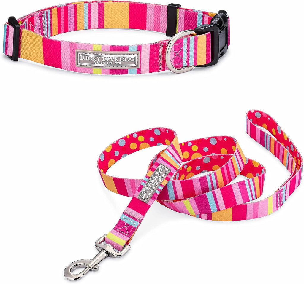Lucky Love Dog Collar and Leash Set Matching Cute – Molly, X-Small