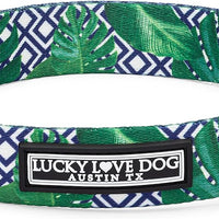 Lucky Love Dog Collar for Large Dogs Cute Adjustable – Blue Laguna, Large