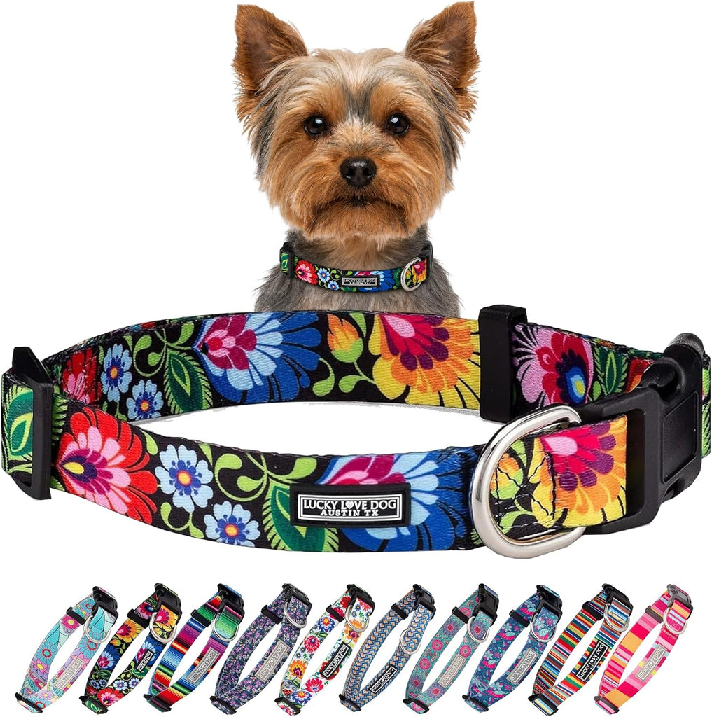 Lucky Love Dog Collar for Puppies & Small Dogs Cute – Blackbird, X-Small