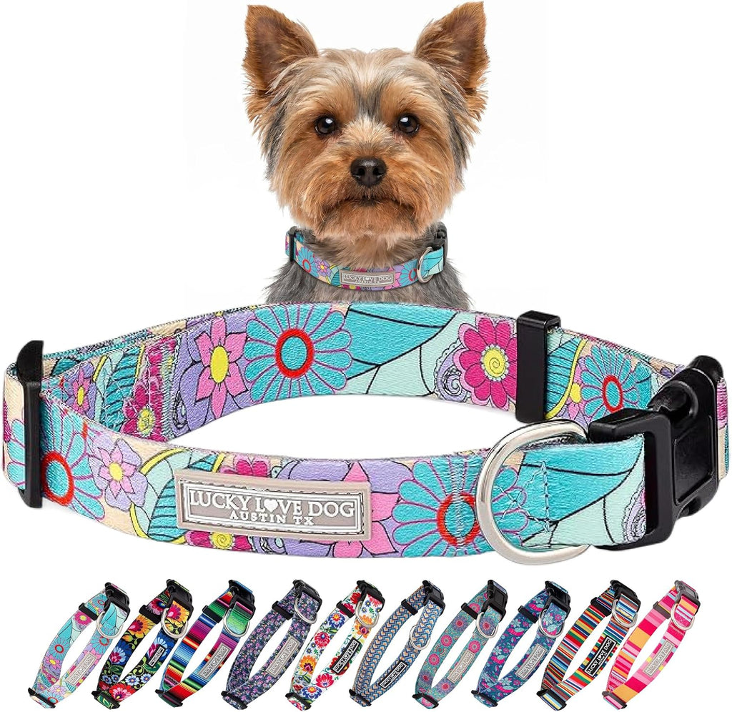 Lucky Love Dog Collar for Puppies & Small Dogs Cute – Caroline, X-Small