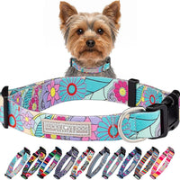 Lucky Love Dog Collar for Puppies & Small Dogs Cute – Caroline, X-Small