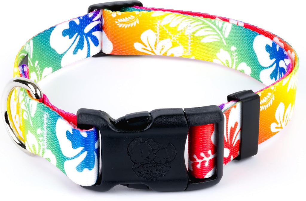Country Brook Petz - Hawaiian Rainbow Everyday Dog Collar - Made in the U.S.A. - Summer Breeze Collection Featuring Sunn