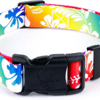Country Brook Petz - Hawaiian Rainbow Everyday Dog Collar - Made in the U.S.A. - Summer Breeze Collection Featuring Sunn