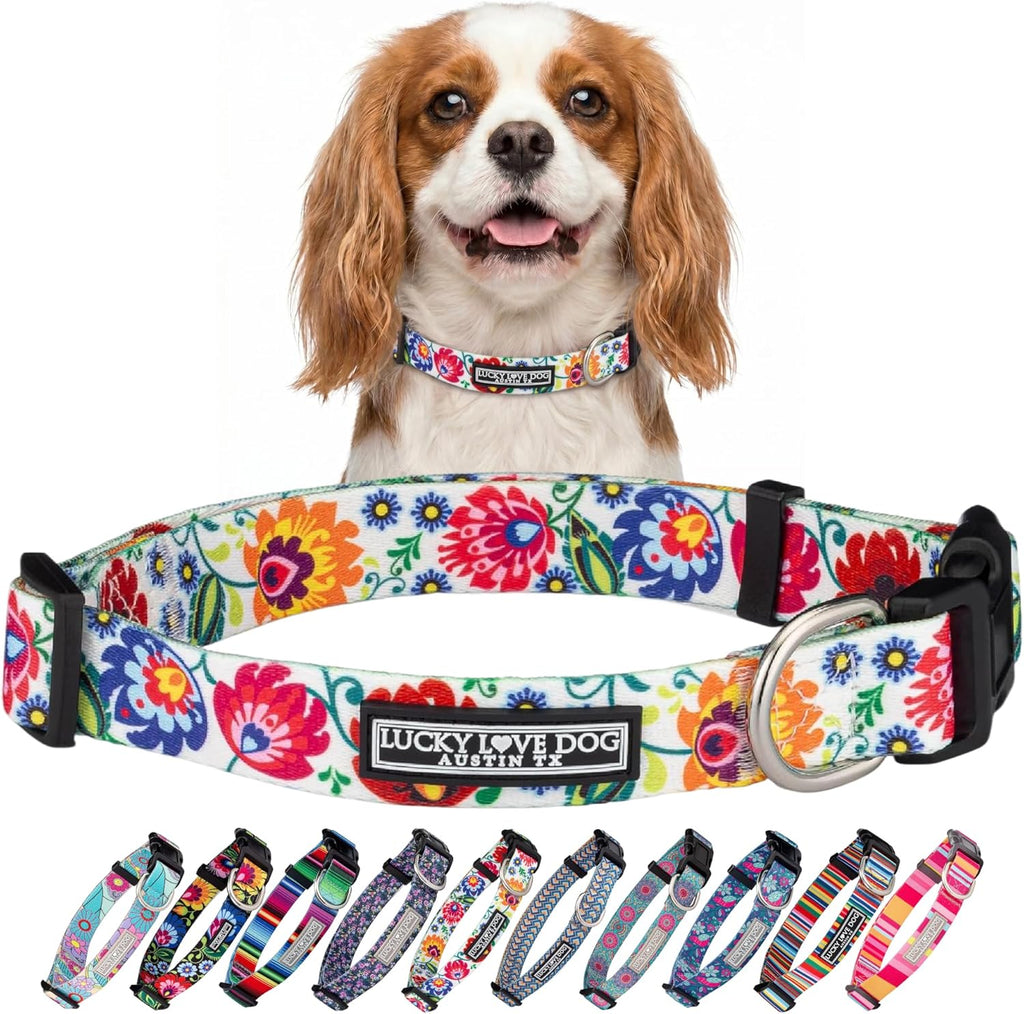 Lucky Love Dog Collar for Small Dogs Cute Adjustable Soft – Ladybird, Small