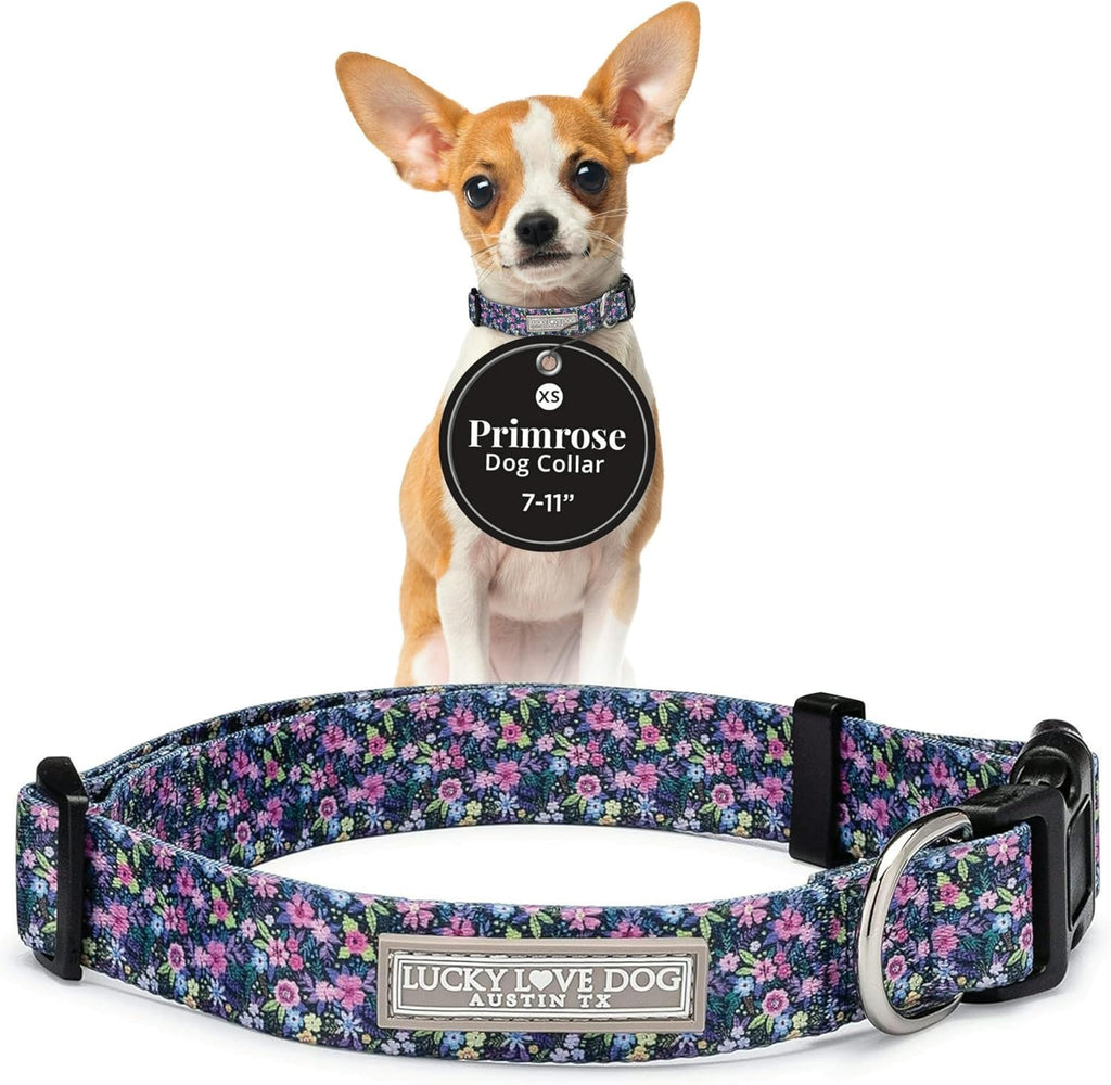 Lucky Love Dog Collar for Puppies & Small Dogs Cute – Primrose, X-Small