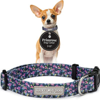Lucky Love Dog Collar for Puppies & Small Dogs Cute – Primrose, X-Small