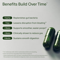 Seed DS-01 Daily Synbiotic – Prebiótico y probiótico para mujeres y hombres – Salud digestiva, salud intestinal, apoyo inmunológico, alivio de la hinchazón y el estreñimiento – Vegano y estable en el