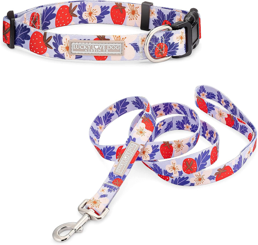 Lucky Love Dog Collar and Leash Set Matching Cute – Sweet Berry, X-Small