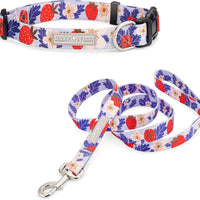 Lucky Love Dog Collar and Leash Set Matching Cute – Sweet Berry, X-Small