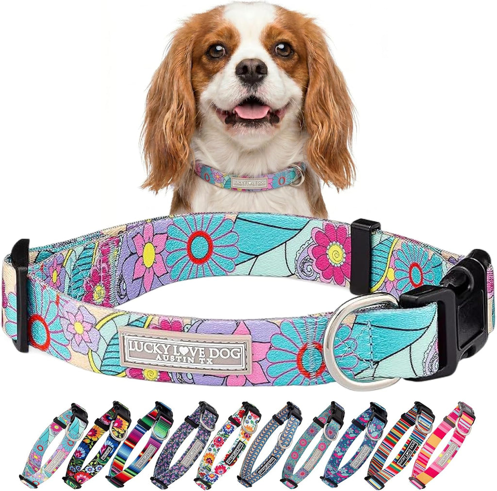 Lucky Love Dog Collar for Small Dogs Cute Adjustable Soft – Caroline, Small
