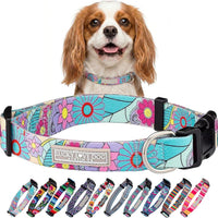 Lucky Love Dog Collar for Small Dogs Cute Adjustable Soft – Caroline, Small