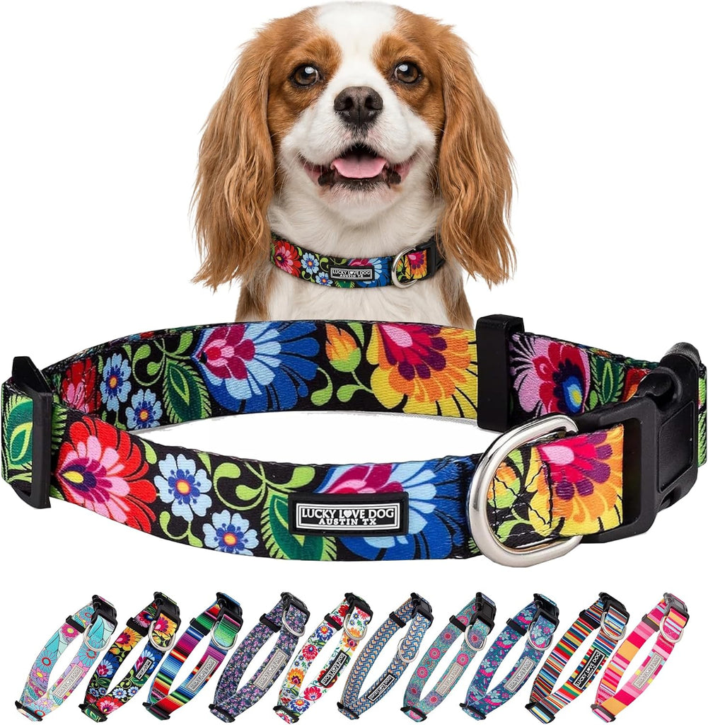 Lucky Love Dog Collar for Small Dogs Cute Adjustable – Blackbird, Small