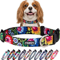 Lucky Love Dog Collar for Small Dogs Cute Adjustable – Blackbird, Small