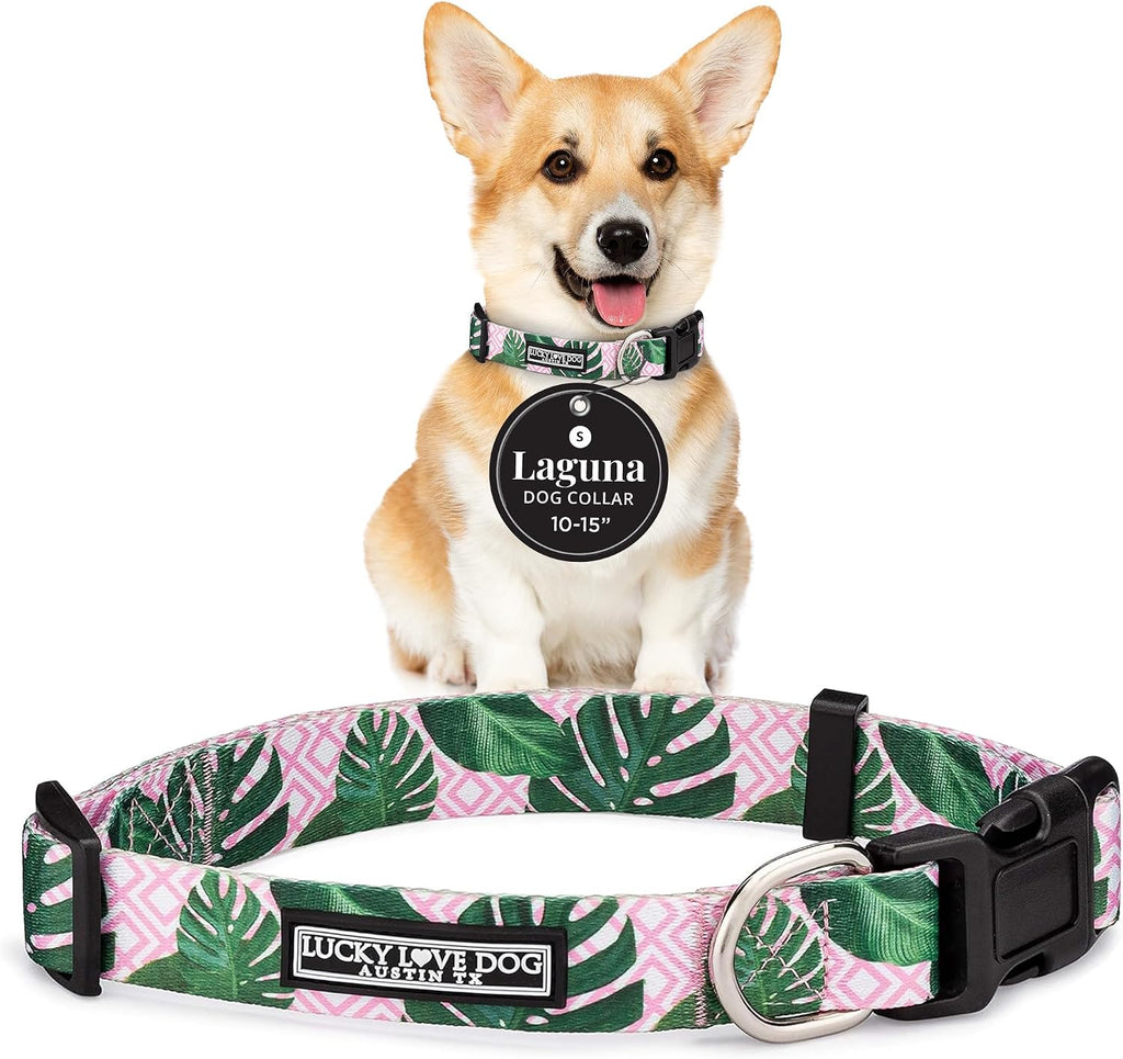 Lucky Love Dog Collar for Small Dogs Cute Adjustable Soft – Laguna, Small