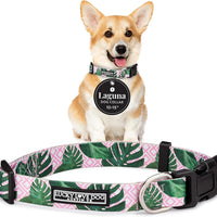 Lucky Love Dog Collar for Small Dogs Cute Adjustable Soft – Laguna, Small