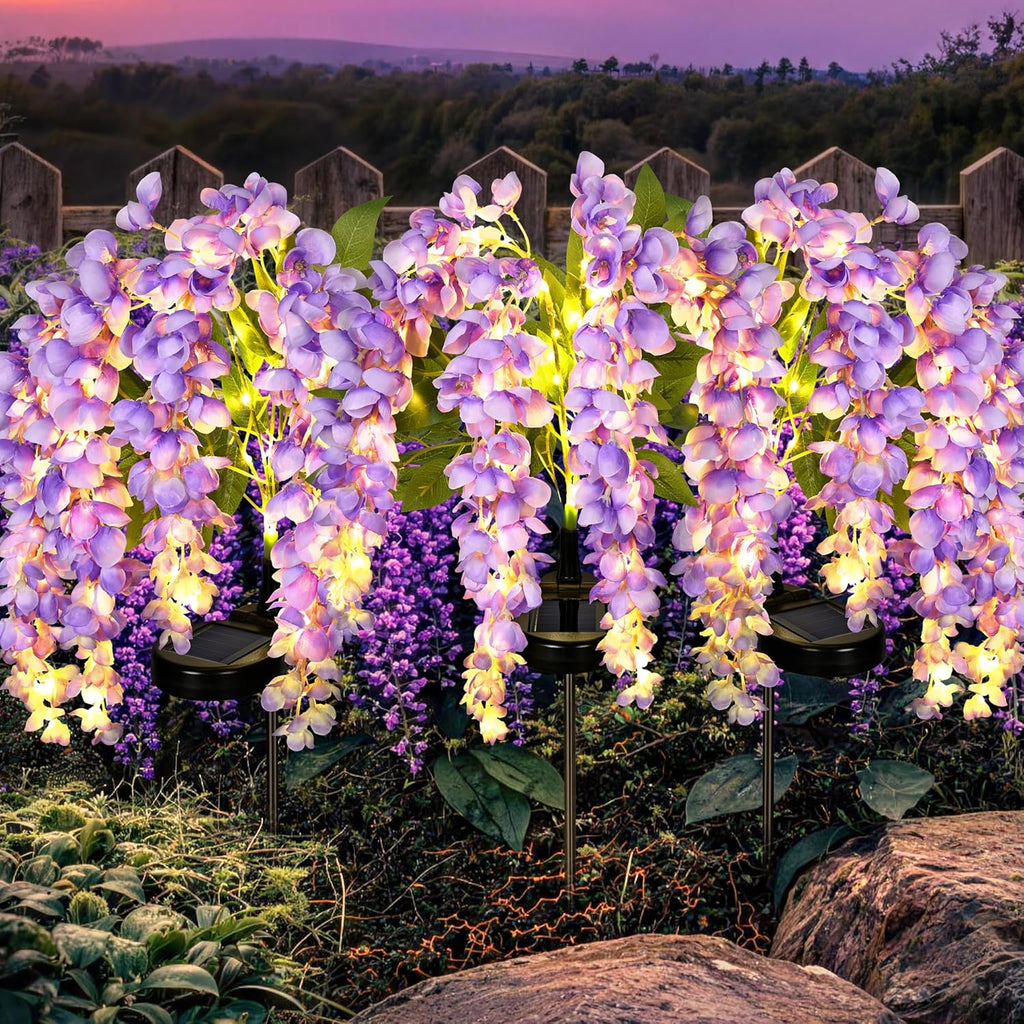 GIGALUMI 3 Pack Solar Wisteria Flowers Outdoor, 2 Modes, Purple