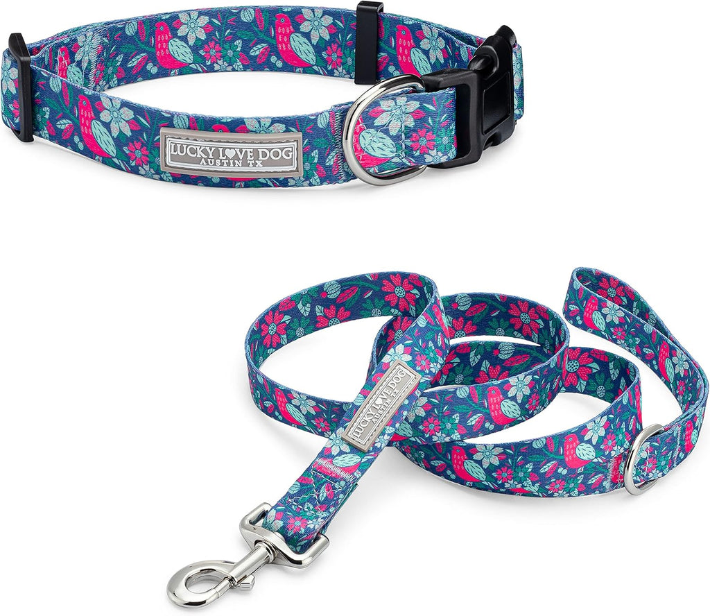 Lucky Love Dog Collar and Leash Set Matching Cute – Carriebelle, X-Small