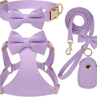 Beirui Cute Small Dog Harness Collar and Leash Set, Purple,XXS,Chest 12-14"