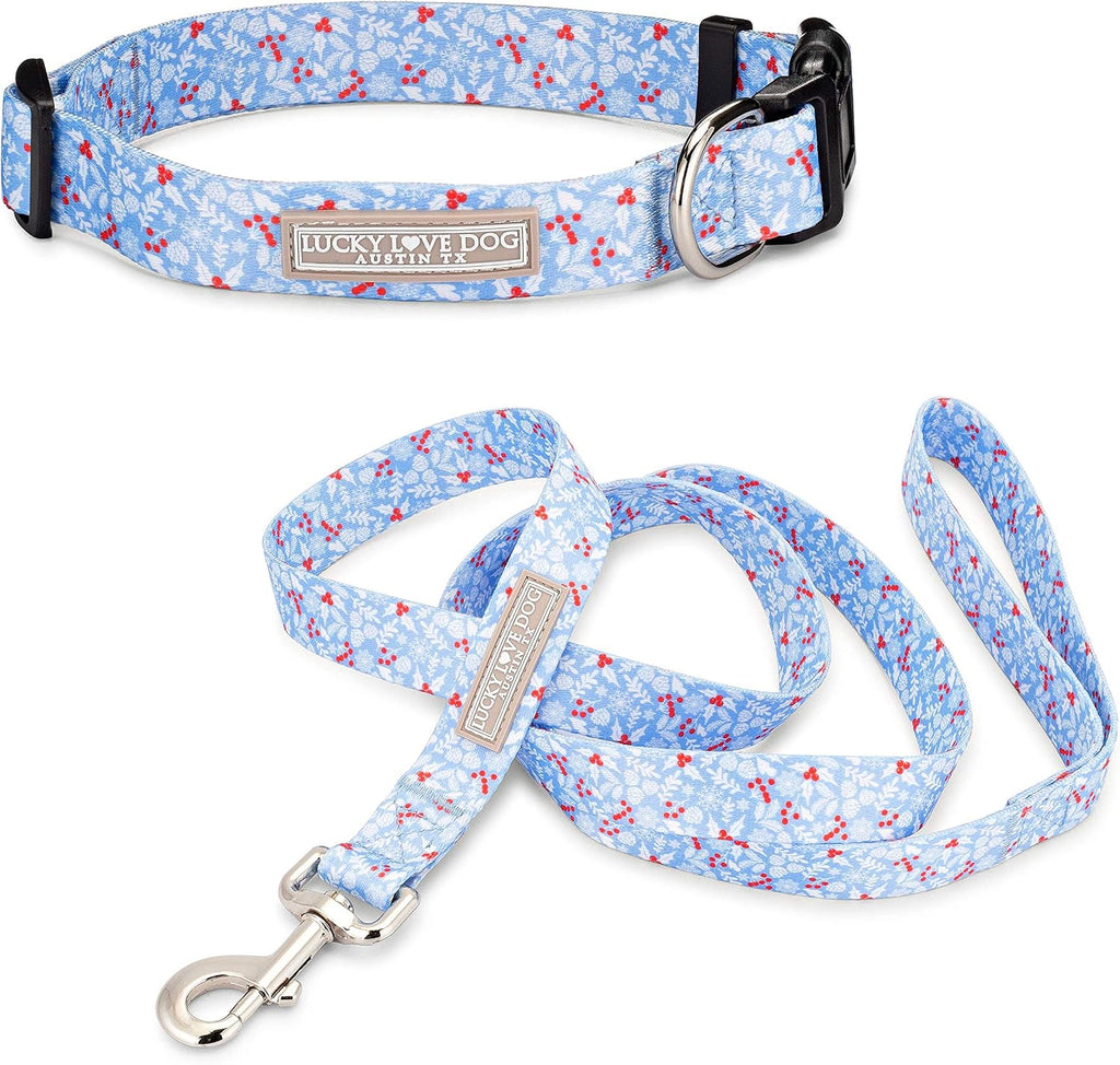 Lucky Love Dog Collar and Leash Set Matching Cute – Winter Blue, X-Small