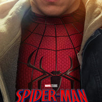 Spider-Man: Brand New Day - DVD