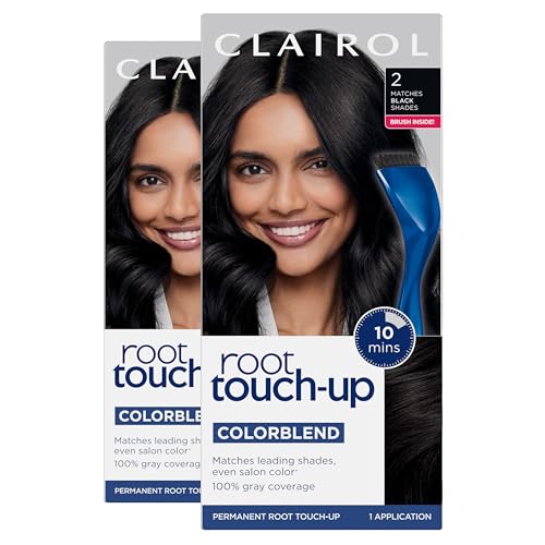 Clairol Root Touch-Up by Nice'n Easy Permanent Hair Dye, 2 Black Hair Color | 100% Gray Coverage | Easy Brush Applicatio
