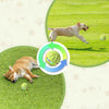 Pelota Interactiva con Luces LED para Perros con Control Remoto