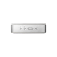 Bose SoundLink Home Speaker - Light Silver