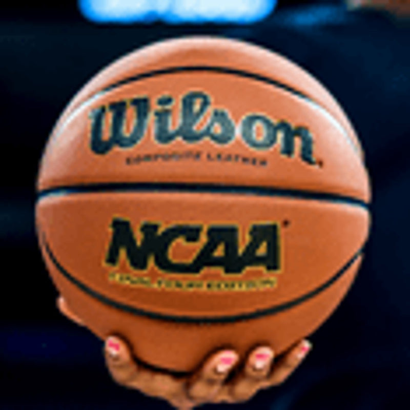 Oferta del día, Pelota de basquet Wilson NCAA Final Four