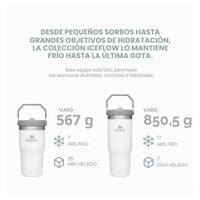 Stanley IceFlow - Iris