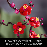 LEGO Botanicals Plum Blossom 10369