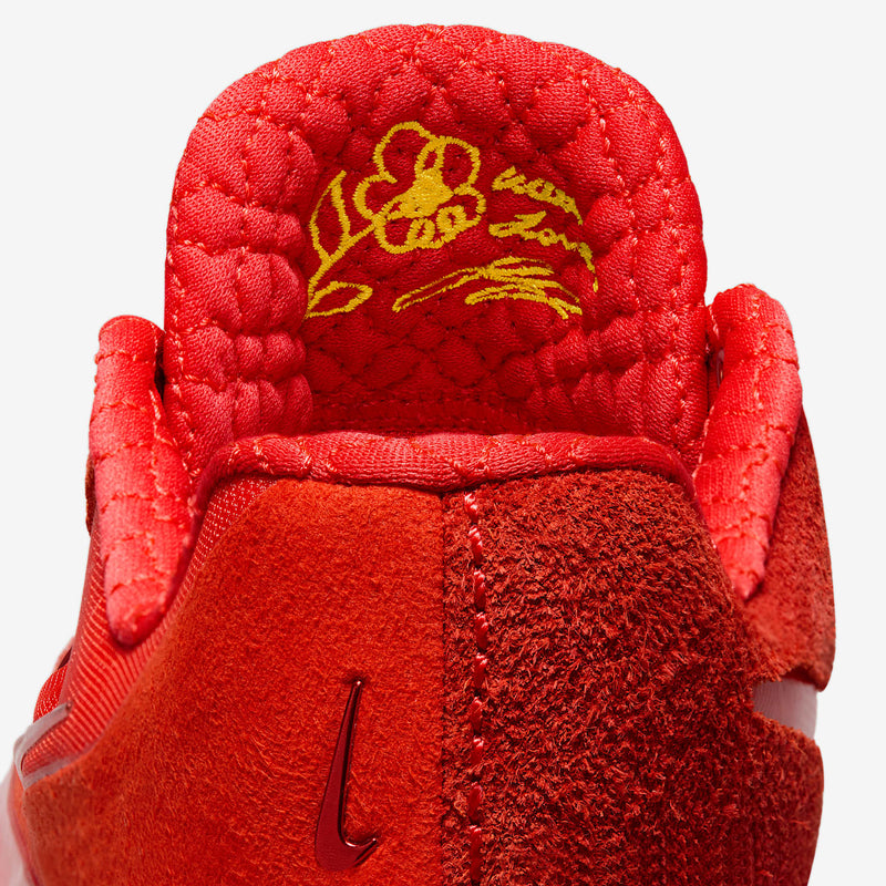 Nike LeBron NXXT Gen By JuJu With Love