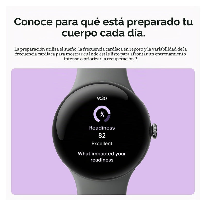 Google Pixel Watch 3 (45mm) - Gray