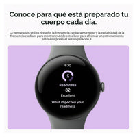 Google Pixel Watch 3 (45mm) - Gray