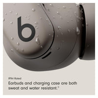 Beats Powerbeats Fit - Gravel Gray