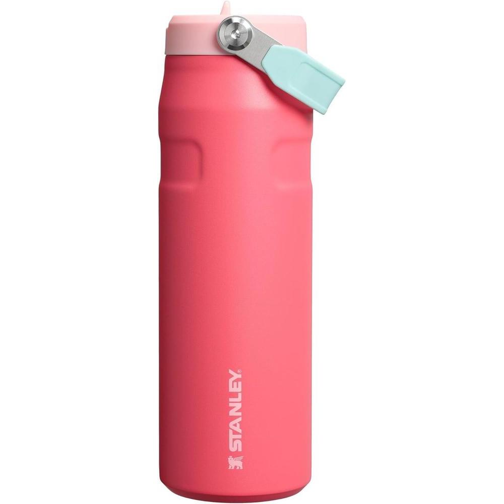 Stanley IceFlow Flip Straw 2.0 Water Bottle 24 oz
