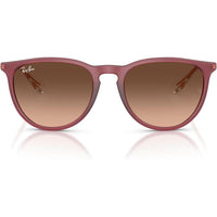 Ray-Ban Rb4171 Erika, gafas de sol redondas con protección UV y estuche incluido