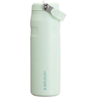 Stanley IceFlow Flip Straw