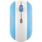 Argentina Flag