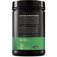 Optimum Nutrition Creatina Micronizada Monohidrato en Polvo sin Sabor, Amigable con Dieta Keto, 240 Porciones