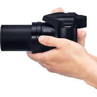 Panasonic LUMIX FZ80D Cámara compacta con zoom óptico 60x, video 4K y estabilizador de imagen óptica de potencia