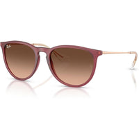 Ray-Ban Rb4171 Erika, gafas de sol redondas con protección UV y estuche incluido