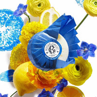 ROGER & GALLET Gel de baño y jabón corporal para mujer, aroma Sándalo, ideal para piel sensible y cuidado personal