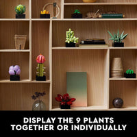LEGO Icons Succulents - Juego de plantas artificiales para adultos, decoración del hogar, cumpleaños, regalos creativos de inauguración, 10309